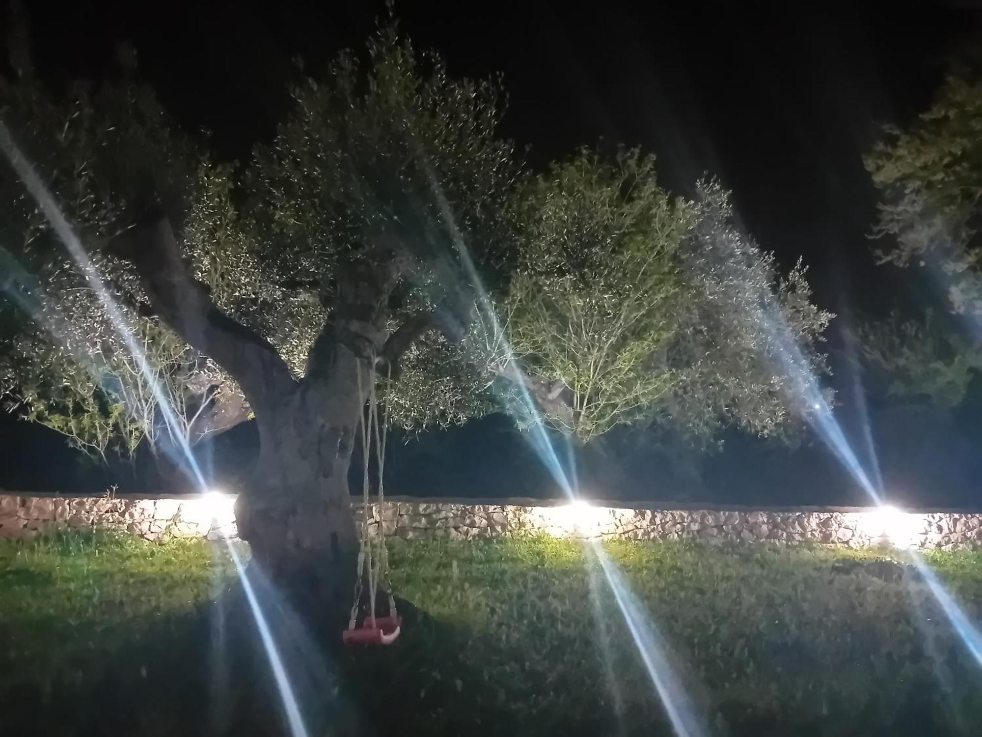 Villa Il Leccio - Trulli Cisternino Exteriér fotografie