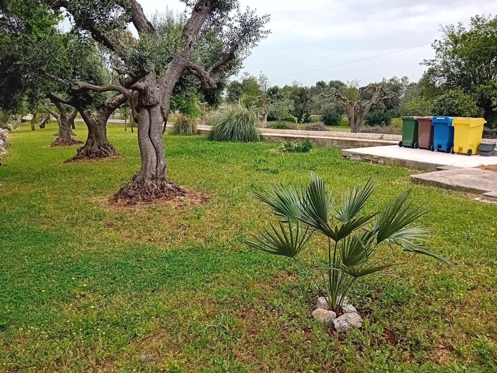 Villa Il Leccio - Trulli Cisternino Exteriér fotografie