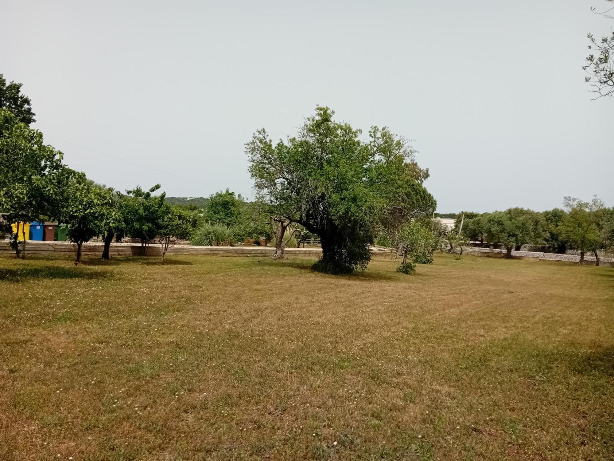 Villa Il Leccio - Trulli Cisternino Exteriér fotografie